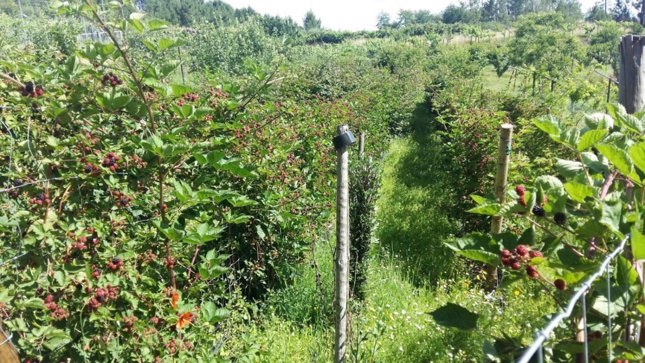 雷森迪Pinhawood别墅 外观 照片