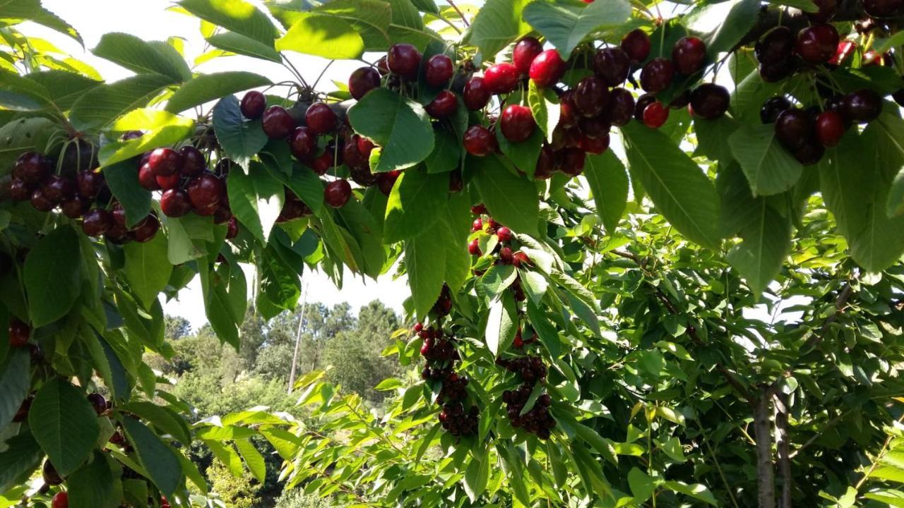雷森迪Pinhawood别墅 外观 照片